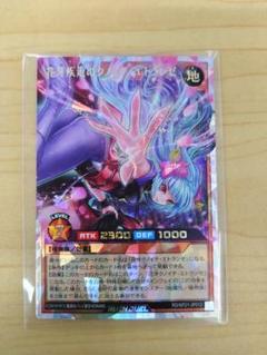 遊戯王　ラッシュデュエル 花牙疾走のクノイチ・エトランゼ オーバーラッシュレアのサムネイル