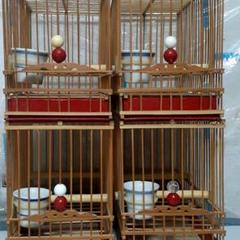 手作り鳥籠(新品) ４個 鳥籠4個セット （名札付き）手作籠 - メルカリ