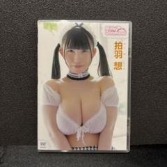 DVD 拍羽想 ミルキー・グラマー