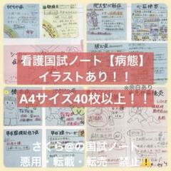 看護【国試対策ノート】【基礎】+【病態】A4サイズ余白あり！勉強・暗記に大活躍！ 看護【国試対策ノート】【基礎】A4サイズ余白あり！！勉強・暗記