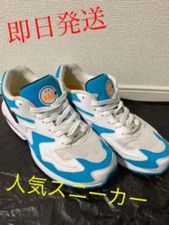 NIKE AIR MAX 2 light 後日値上げします。