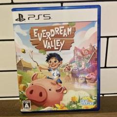 EVERDREAM VALLEY PS5