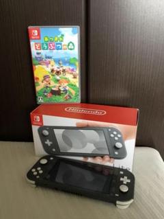 Nintendo Switch Lite&動物の森