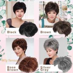 4色展開　頭頂部　部分ウイッグ　トップ　ヘアピース　広範囲カバー　ボリュームUP