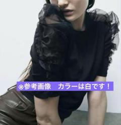 ZARA ザラ リブオーガンザ Tシャツ ホワイト 白　シアー トップス Sのサムネイル