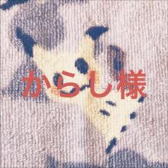 ブルーインパルス / 真実を見極めよ、ジョニー！ 4枚 - メルカリ