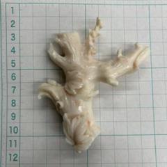 白珊瑚　彫刻 72g