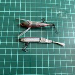 ディスタイル セット イチリン 銀公魚 マダムキラー セクシーベイト 希少 レア ディスタイル セット イチリン 銀公魚 マダムキラー セクシー