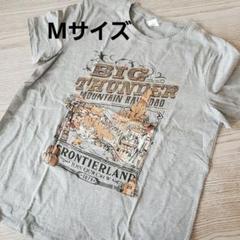 ビッグサンダー マウンテン ライトグレー Tシャツ dハロ バウンドコーデ