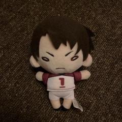 にとたん　牛島若利　ハイキュー　ぬいぐるみ　ユニフォーム