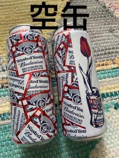 Budweiser wastedyouthのサムネイル