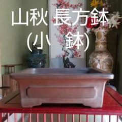 山秋 鉢の中古/未使用品 - メルカリ 山秋 鉢の中古/未使用品 - メルカリ