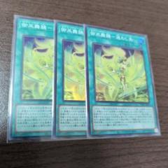 遊戯王 御巫舞踊―迷わし鳥 スーパーレア 3枚セット