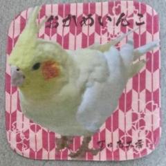 【新品】和風・オカメインコ・ルチノー・ シャーリング ハンカチタオル♪♪