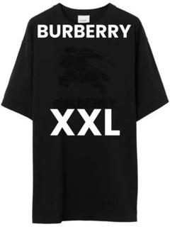定価14万　23SS新作・極美品 オーバーサイズM