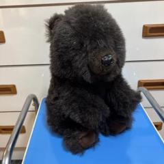 北海道限定　プレゼントにおすすめ　大きめくまさん　黒　メルカリのみ出品 2025年最新】北海道くまさんの人気アイテム - メルカリ