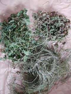 【週末セール】乾燥野草　約50g　クローバー葉　たんぽぽ葉　スギナ　無農薬のサムネイル