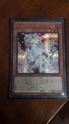 遊戯王 灰流うらら 絵違い シク