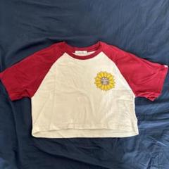 771）ラスベガス・ロッキン2023限定TシャツLサイズとタオル新品未開封 Rock in Japan 2023 オフィシャルグッズ Tシャツ - メルカリ