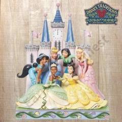Disney Traditions プリンセス ビューティフル アンド ブレイブ Disney Traditions♡プリンセス ビューティフル アンド ブレイブ