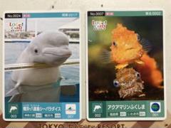 ロゲットカード　アクアマリンふくしま ロゲットカード 東北 アクアマリンふくしま 1枚 - メルカリ