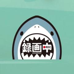 ジョーズ風*サメ【録画中ステッカー】ドライブレコーダー/防犯カメラ共通のサムネイル