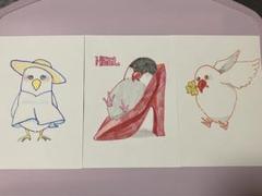 鳥類イラストカード 52枚セット 鳥類イラストカード 52枚セット