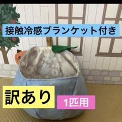 モモンガ　果物ポーチ　黄色　夏用　接触冷感ブランケット付き 2025年最新】フクロモモンガ ポーチ 夏の人気アイテム - メルカリ