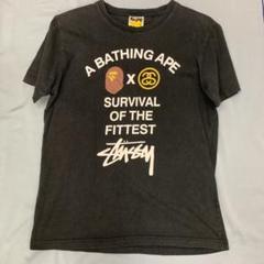 ペイブ×ステューシーコラボTシャツ Lサイズ
