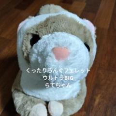 くったりろんぐフェレット　ウルトラBIG　73センチ　らてちゃん　セーブルカラー