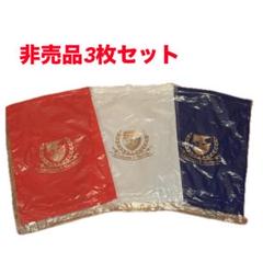 横浜F・マリノス 圧縮袋3枚セット
