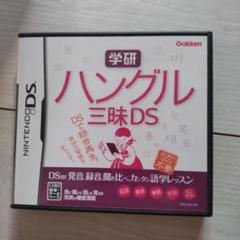 超美品★学研 ハングル三昧DS★動作確認済み！