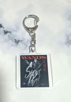 WANDS ワンズ　上杉昇　ドッグタグ　ネックレス　VIDEO JUNK グッズ WANDS ワンズ 上杉昇 ドッグタグ ネックレス VIDEO JUNK グッズ