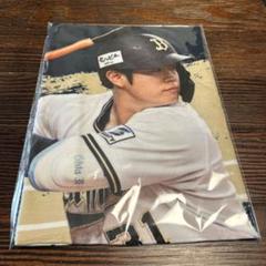と*)様 太田椋　コロチャレB賞　タオル　オリ姫デー 71E4GP+IonL._UF350,350_QL50_.jpg