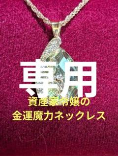 縁起物 曰く付き 資産家令嬢の金運魔力ネックレス 龍神 特級呪物