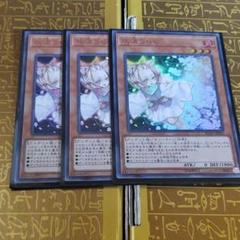 遊戯王 灰流うららウルトラ3枚
