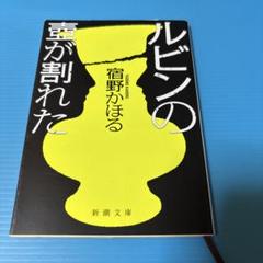 ルビンの壺が割れた