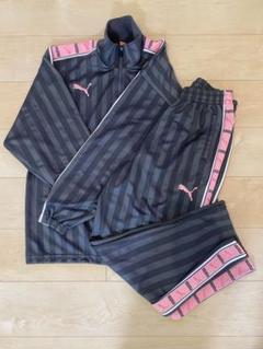 【廃盤未使用】上下セット PUMA ストライプジャージ グレー/ピンク XS 2025年最新】プーマ ジャージ 下 ピンクの人気アイテム - メルカリ