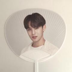 SEVENTEEN セブチ ミンギュ うちわ セット 26枚 おまけ付き SEVENTEEN セブチ ミンギュ うちわ セット 26枚 おまけ付き