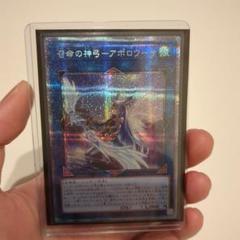 2025年最新】アポロウーサ 絵違い プリズマの人気アイテム