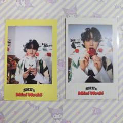 straykids スキズ　シーグリ　2021  ポラロイド　リノ Stray Kids - Straykids リノ 2021 leeknow PHOTO CARDの通販 by