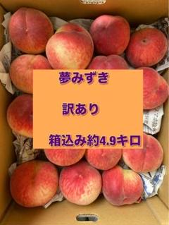 hasumi 　山梨県笛吹市産　箱込み約5.3キロ 夢桃香　希少新品種 1415086846_1200x1200.jpg?v=