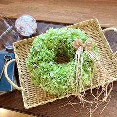 ☘️即売品☘️ 若草色 アナベル のこんもり ボリューム フル リース 28㎝のサムネイル
