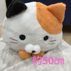 らいかっこ(プロフ見ていただけると幸い) ぬいぐるみ 雑貨　まとめ売り らぶしっく RINDO べびぬい ぬいぐるみ たろ GIGO限定 - メルカリ