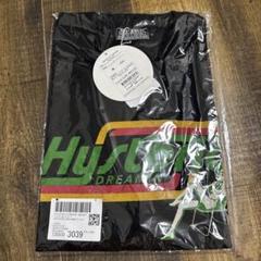 ヒステリックグラマーHYSTERICDREAMIN TシャツL