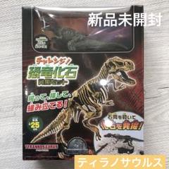 化石 20種 セット [Z663] ティラノサウルス トリケラトプス 三葉虫