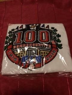 第100回全国高等学校野球選手権記念大会　甲子園　バスタオルのサムネイル