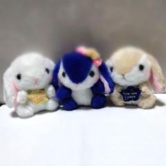 3個セット ぽてうさろっぴー 星に願いを LMC ぬいぐるみ マスコット ウサギ
