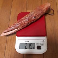 値下げθ ファットウッド肥松　4本合計約8.6kg 約42cm 2025年最新】ファッドウッドの人気アイテム - メルカリ