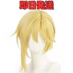 ひかる様 ウィッグオーダー 仁兎なずな ひかる様 ウィッグオーダー 仁兎なずな - メルカリ